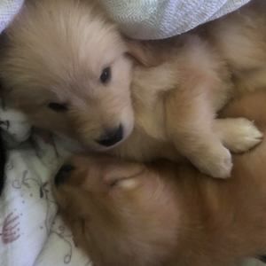 Meet your Posher, Kristin